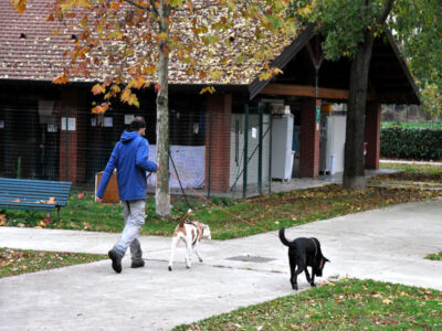 A Milano al via i corsi per il Patentino Cane Speciale