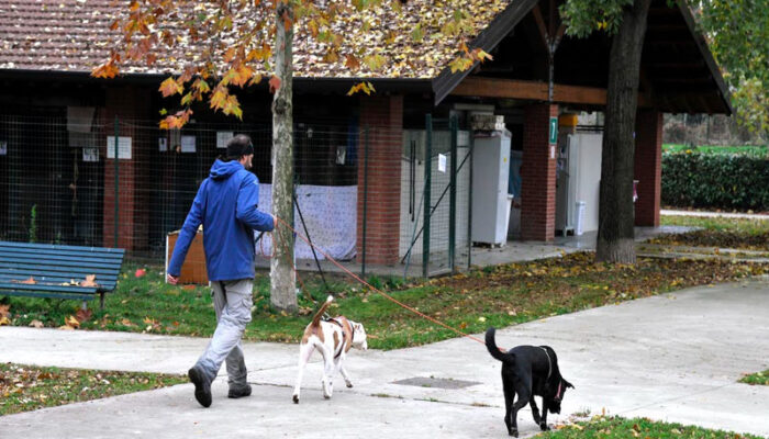 A Milano al via i corsi per il Patentino Cane Speciale