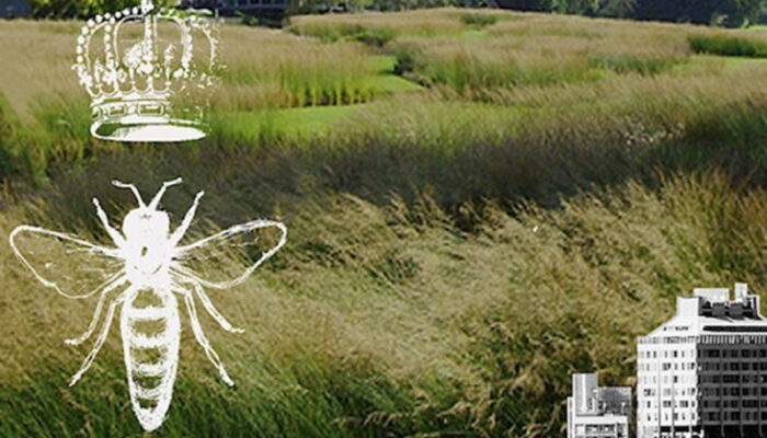 Pavia Api - libro Alveari Urbani