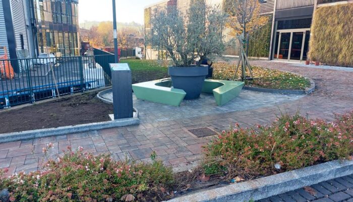 Inaugurazione Albero di Gae - Coop Como