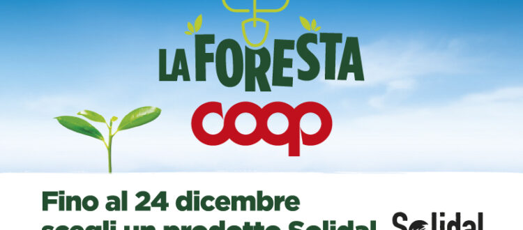 Foresta Coop Treedom dicembre 2022
