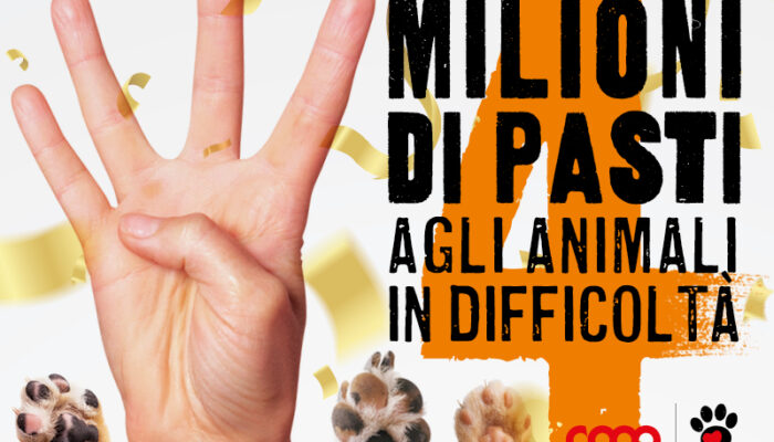 Alimenta l'Amore - 4 milioni di pasti donati febbraio 2023