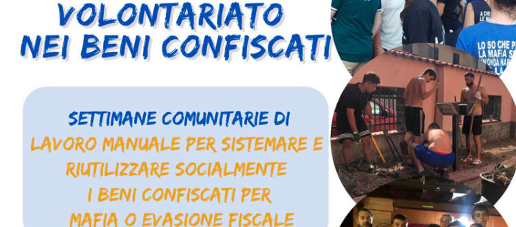 Scegli da che parte stare”: campi estivi 2023