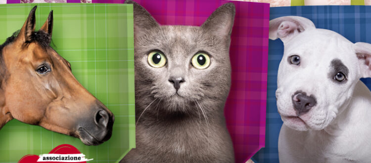 Shopping bag 2025 Alimenta l'Amore